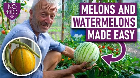 melonstubes|melons videos